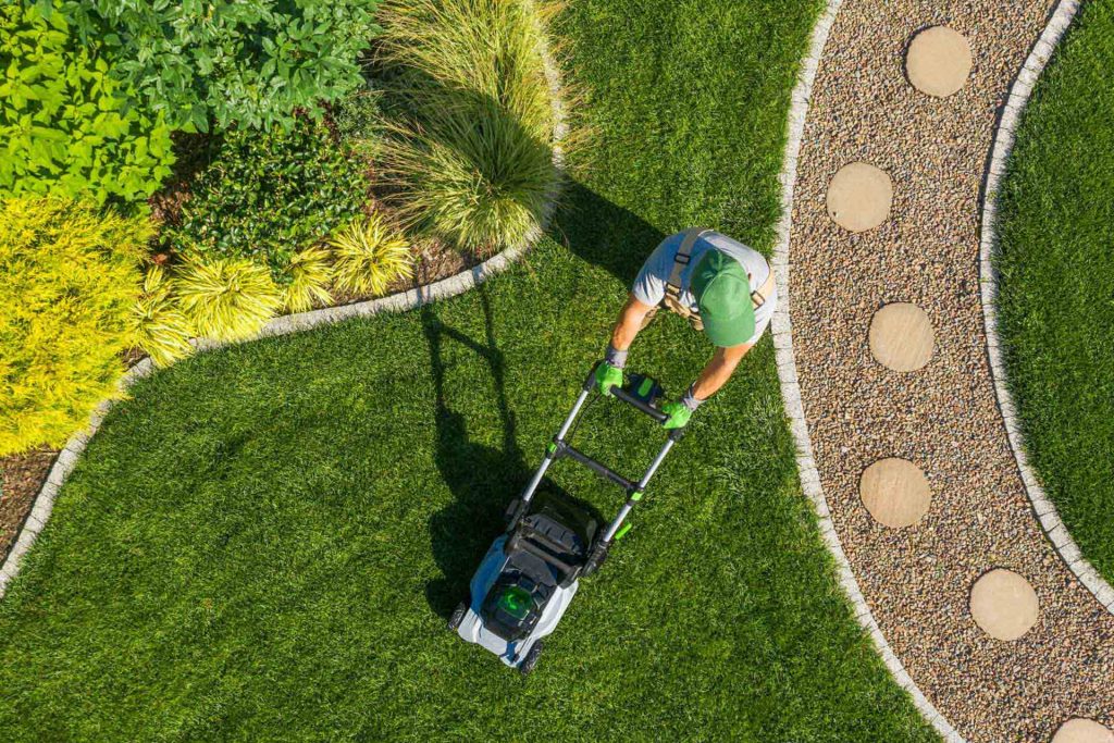 gardener-mowing-backyard-garden-grass-aerial-view-46KSDUZ.jpg